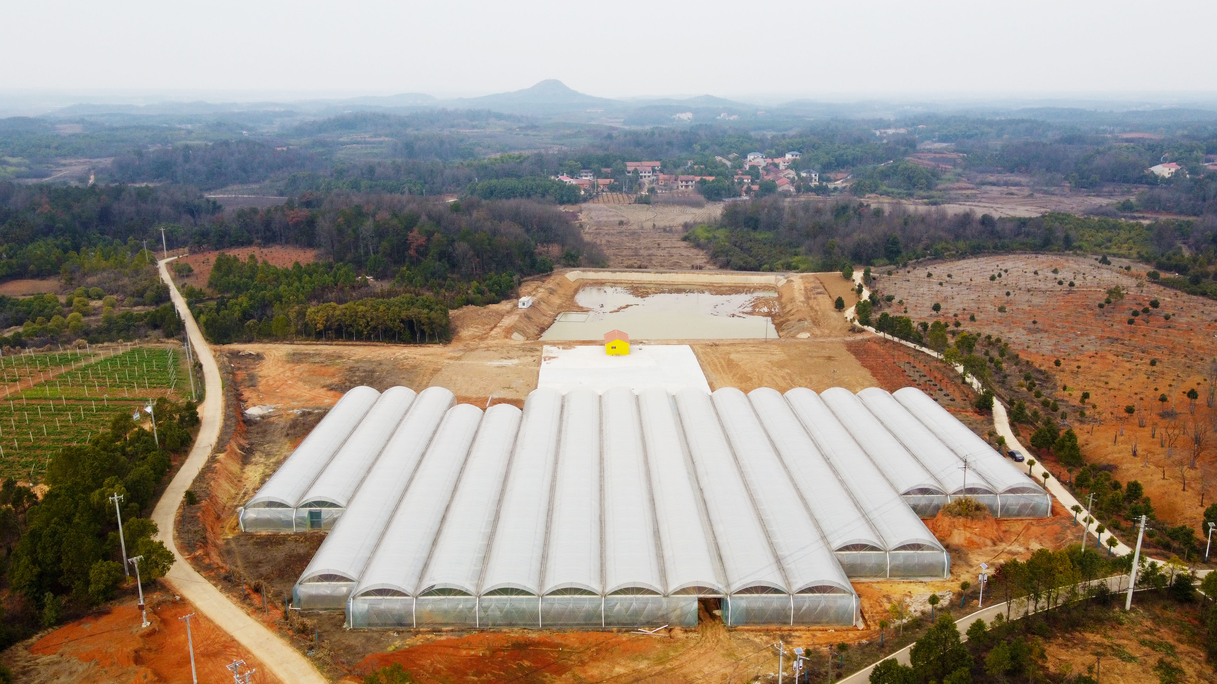 DJI_0743 拷贝.jpg
