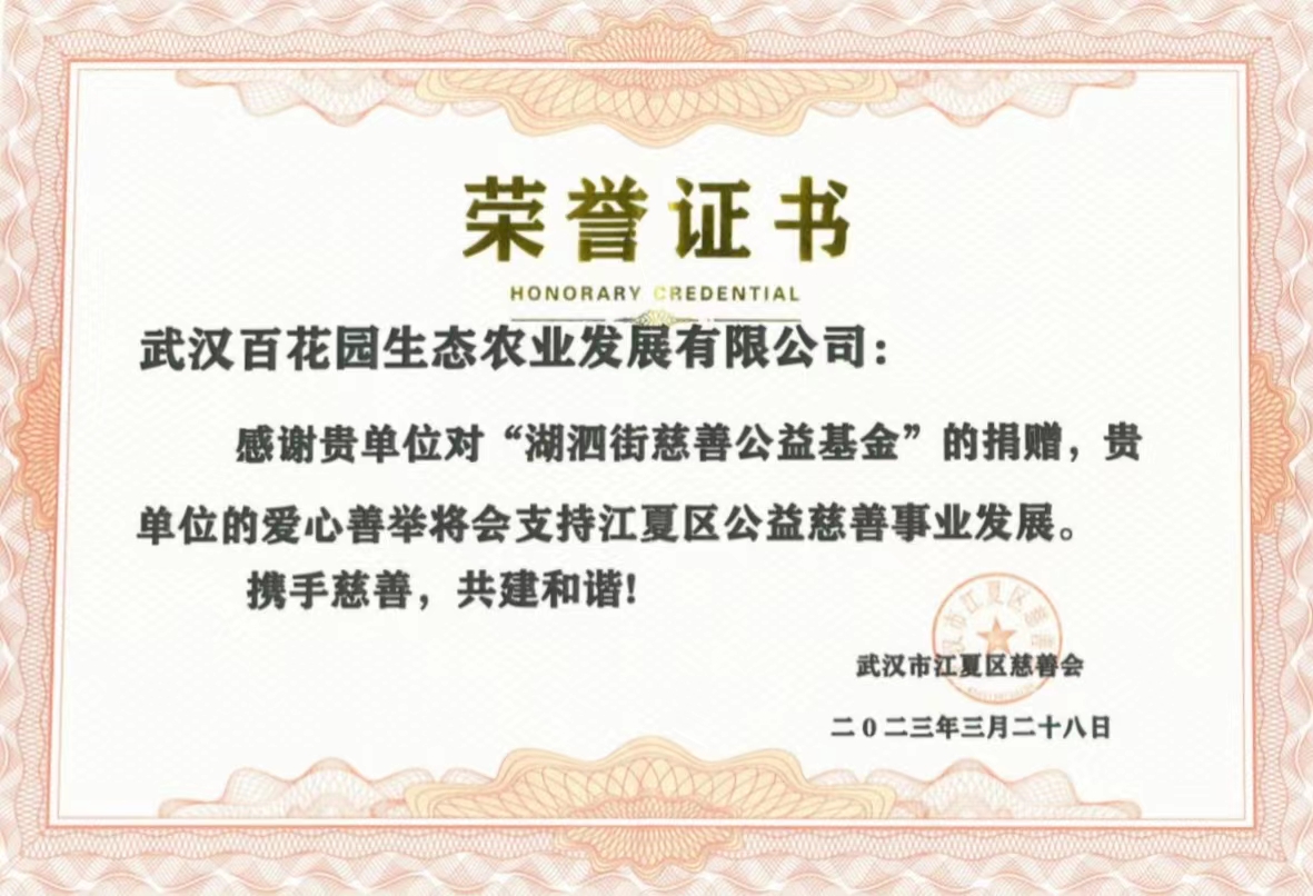 荣誉证书.jpg