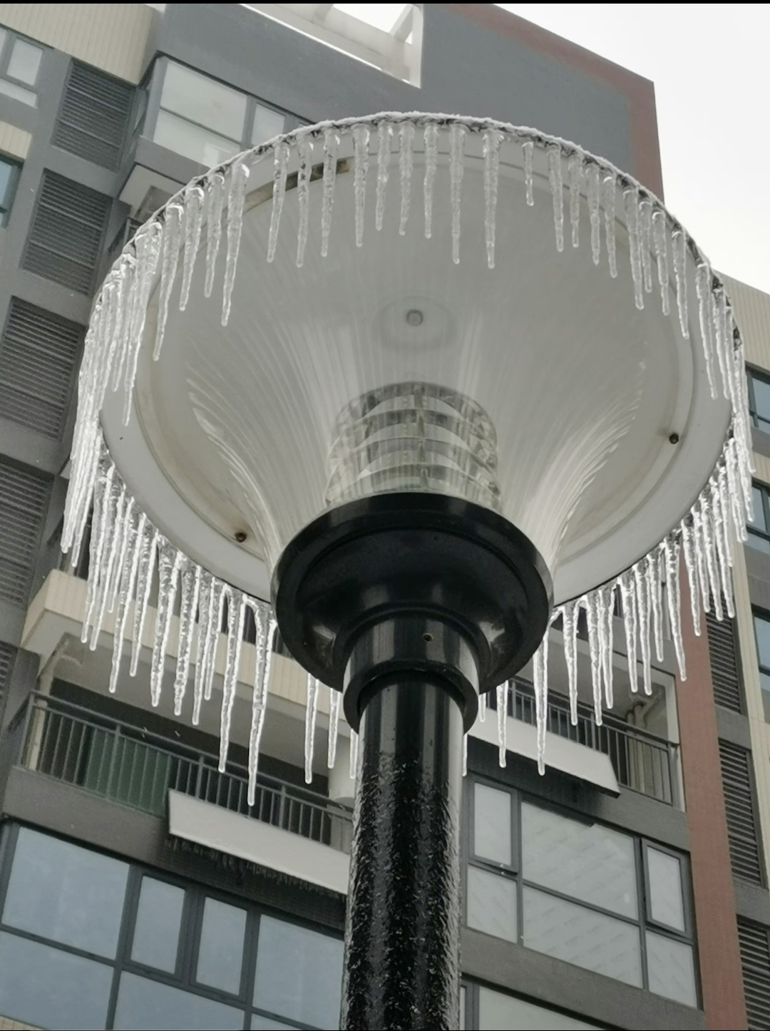 路灯变成了水晶灯 拷贝.jpg