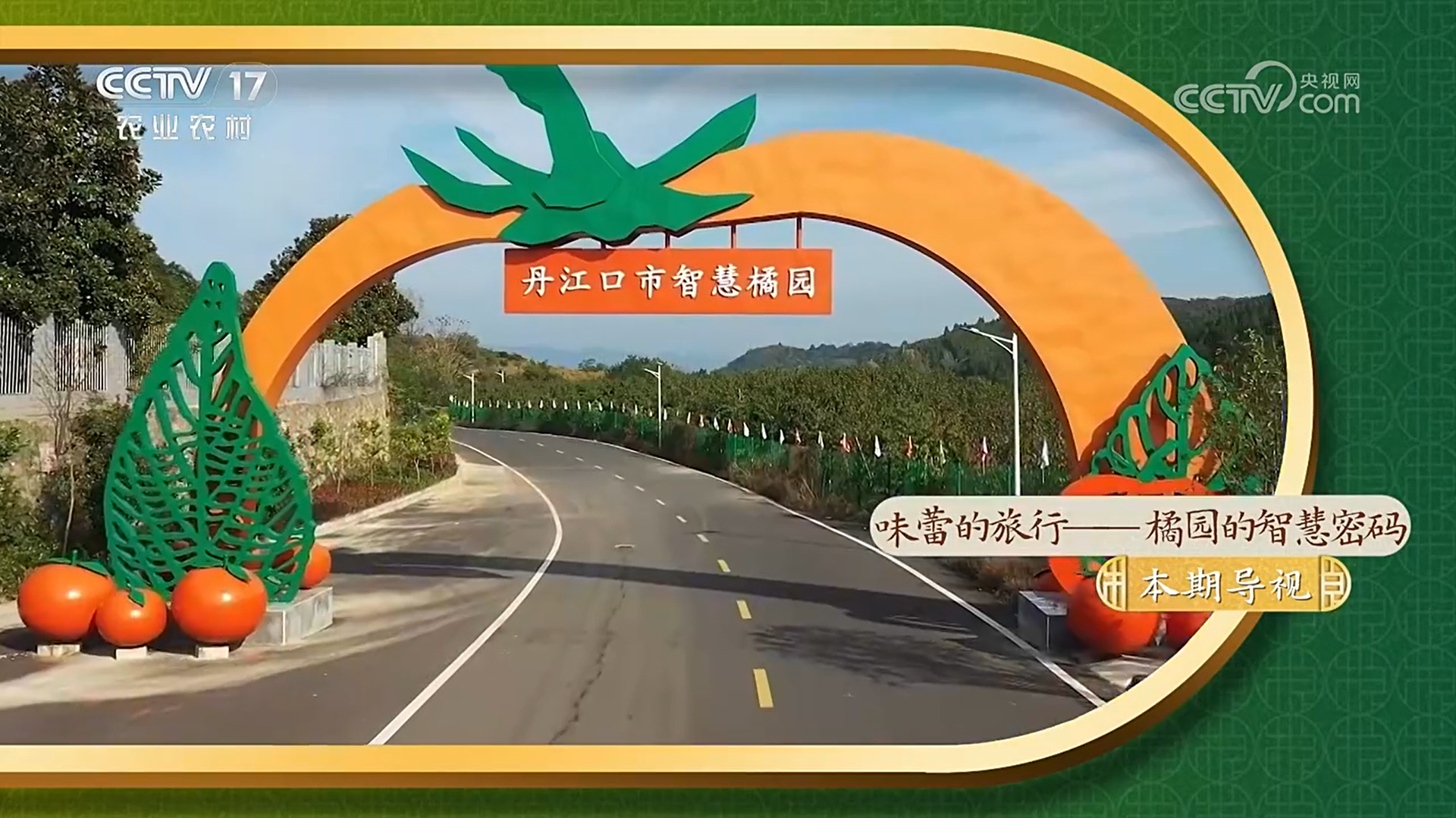 1734421699114 拷贝.jpg