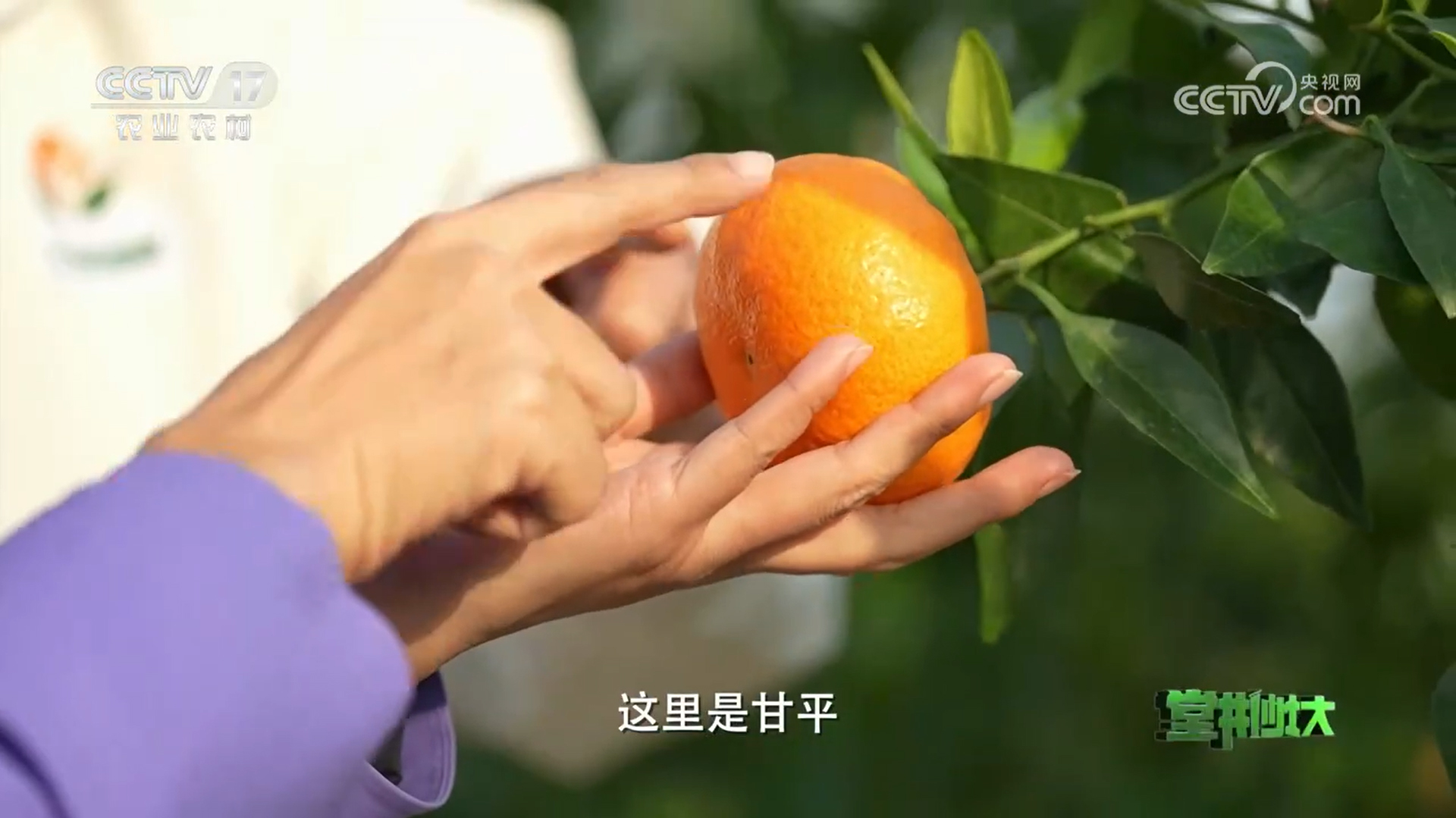1734416971507 拷贝.jpg